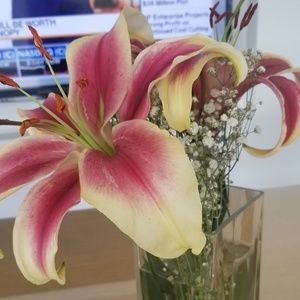 Meet your Posher, Marlene